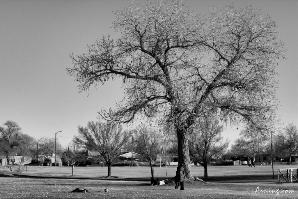 Montgomery Park