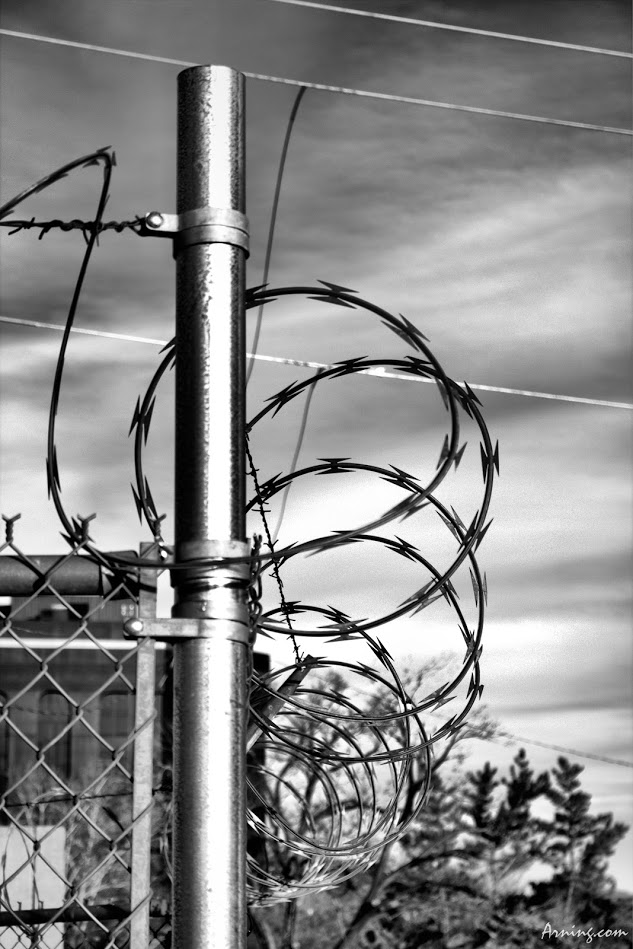 Security 