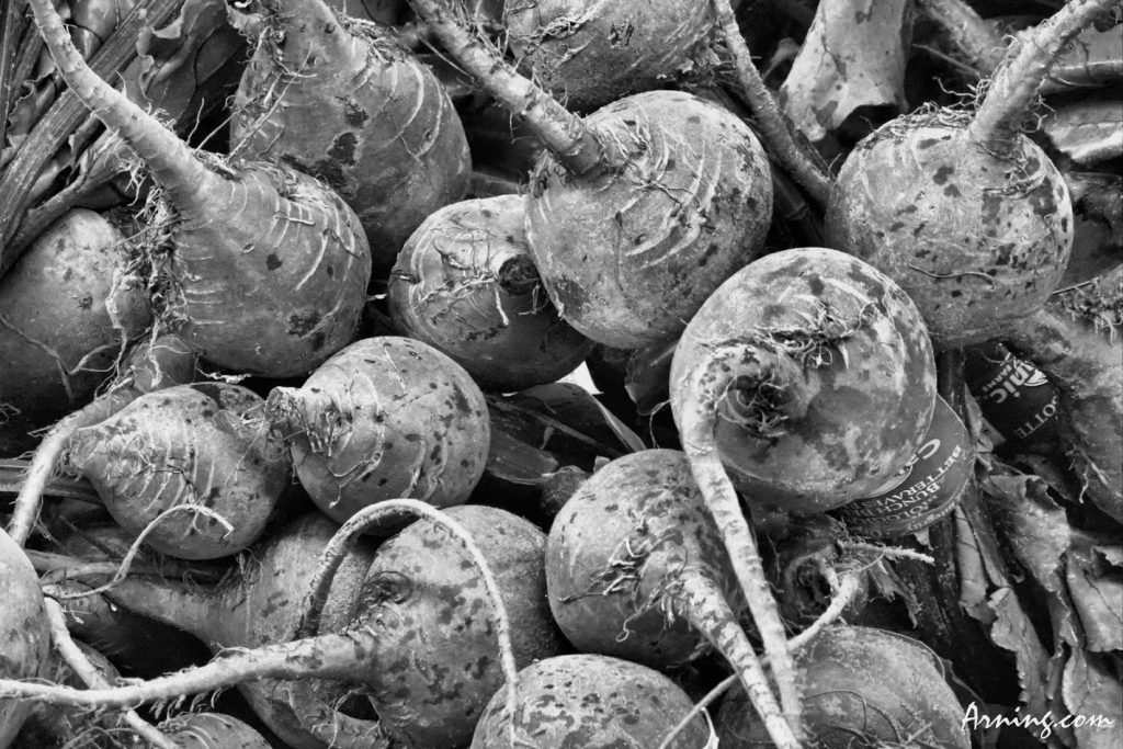 Beets