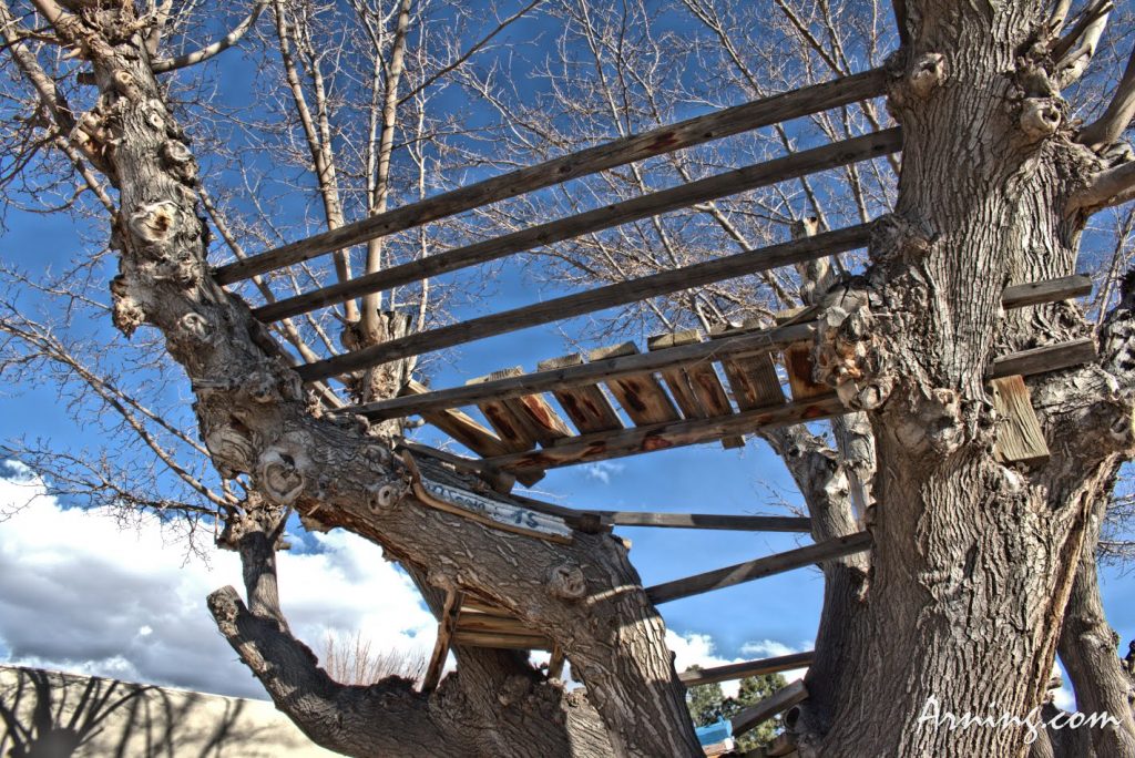 Neighborhood Tree House
