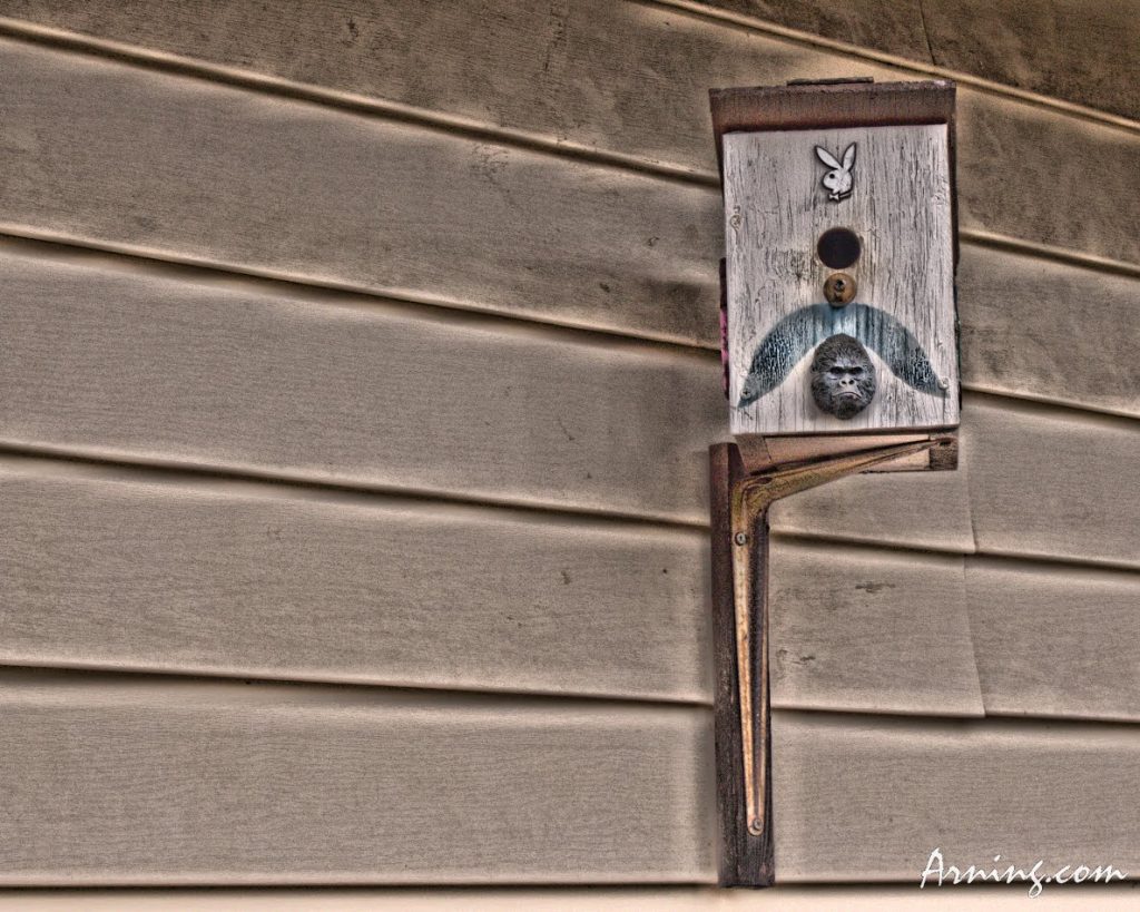 Playboy Club for Birds