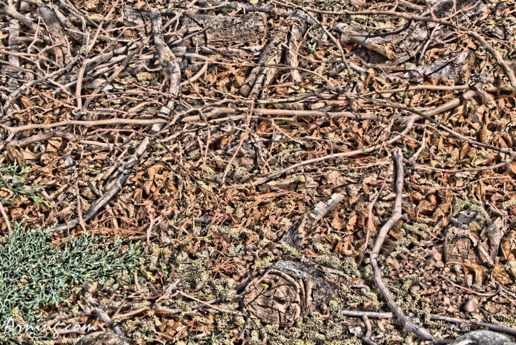 puzzle picture