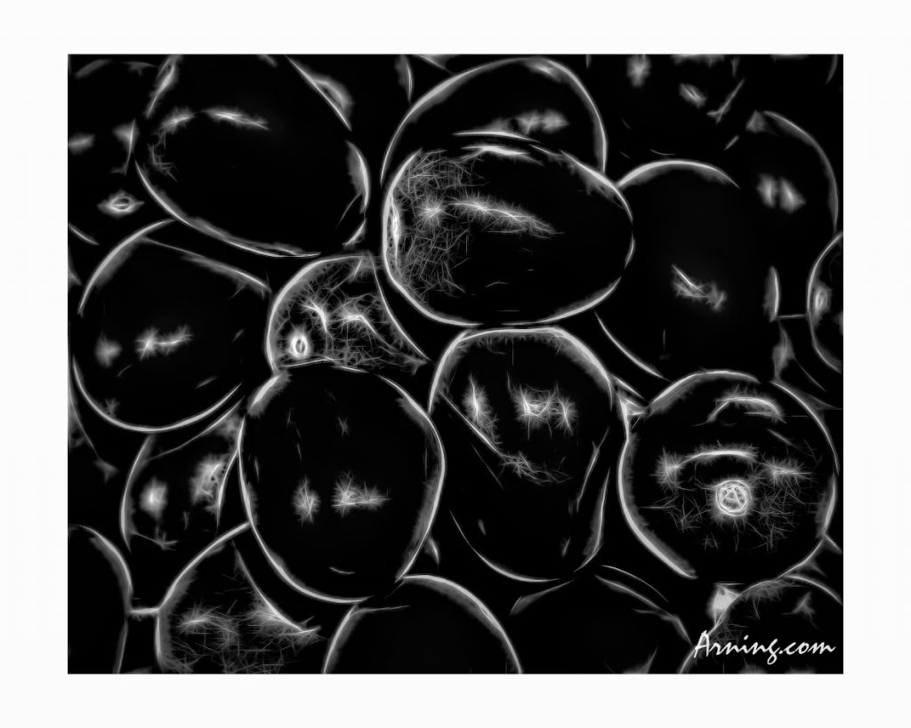 tomatoes