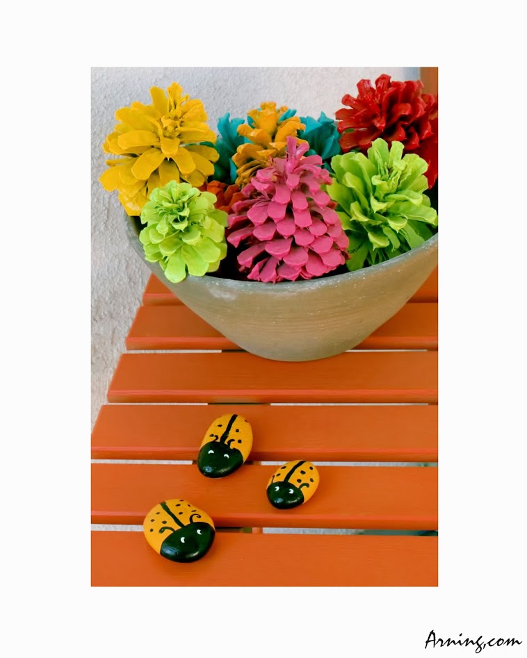 Ladybugs