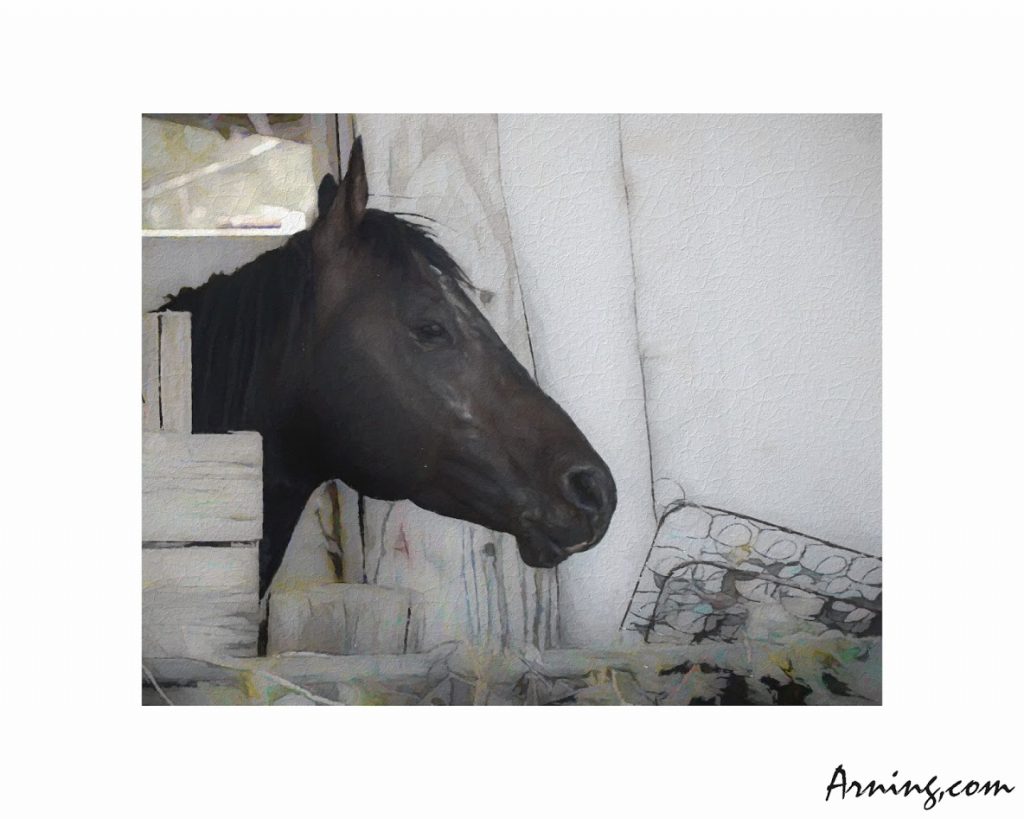 still stately