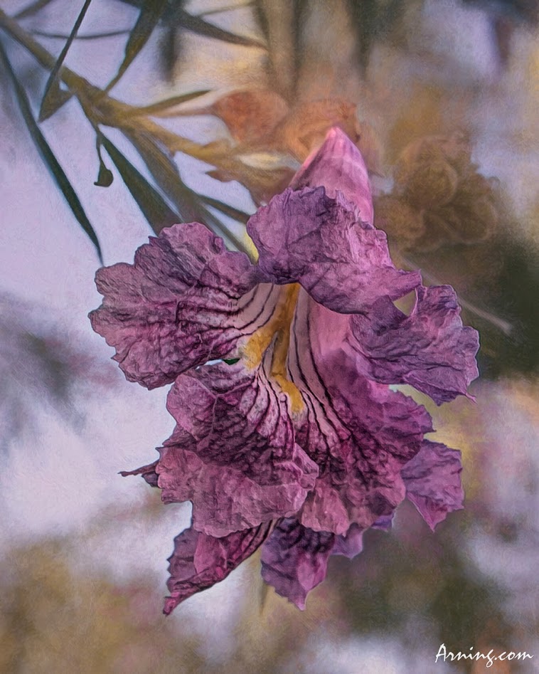 Flowering Tree