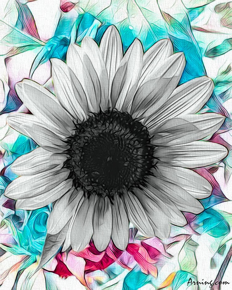 Sunflower minus yellow