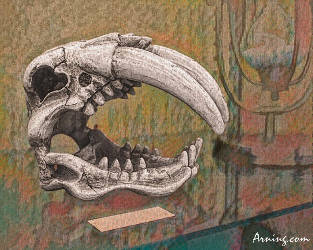 Toothy