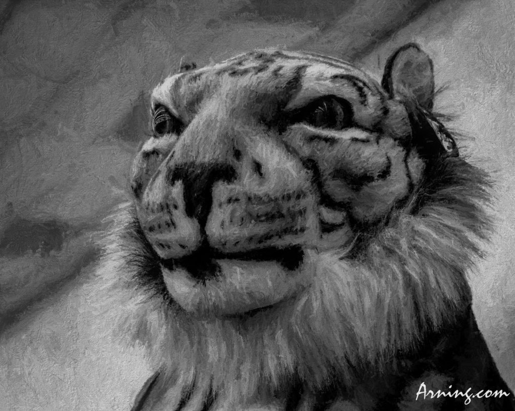nobility