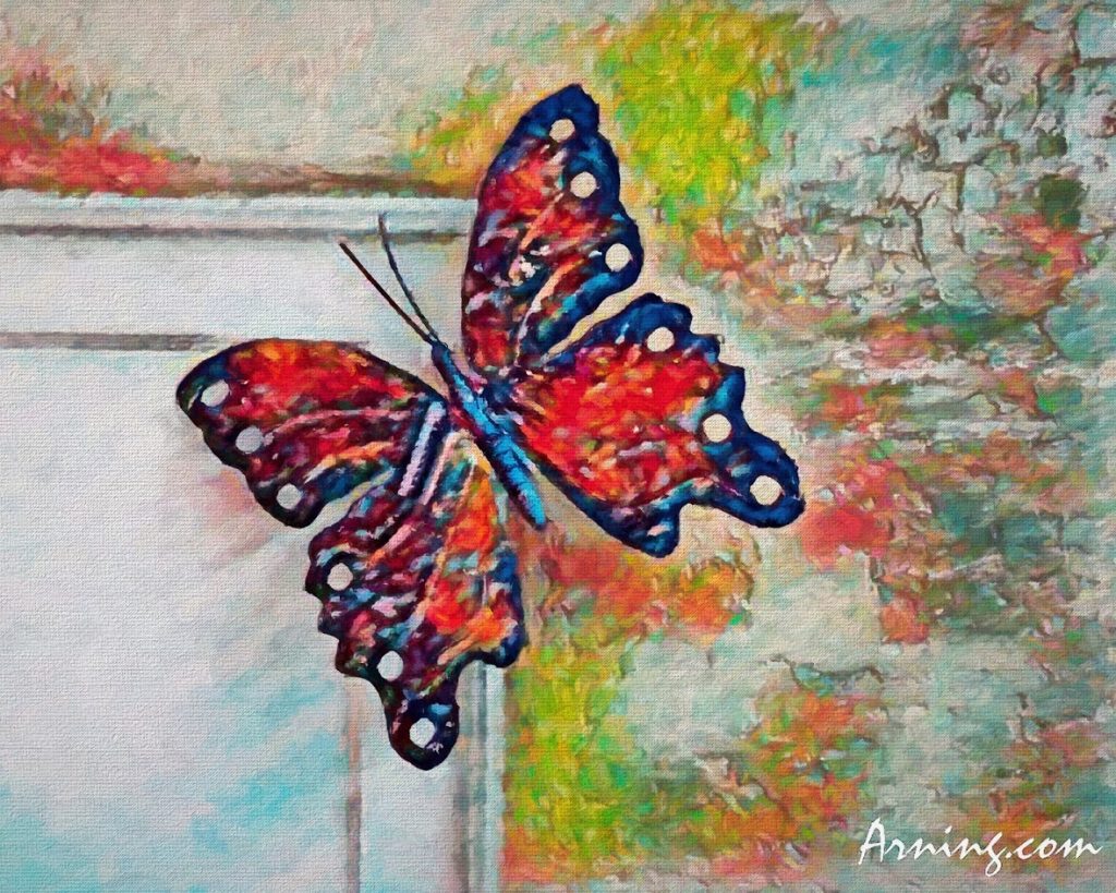 Butterfly