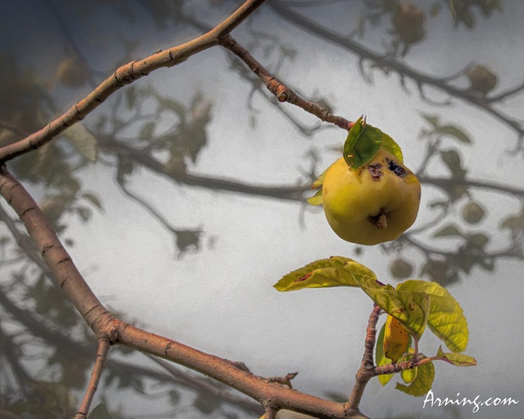 fall treasure