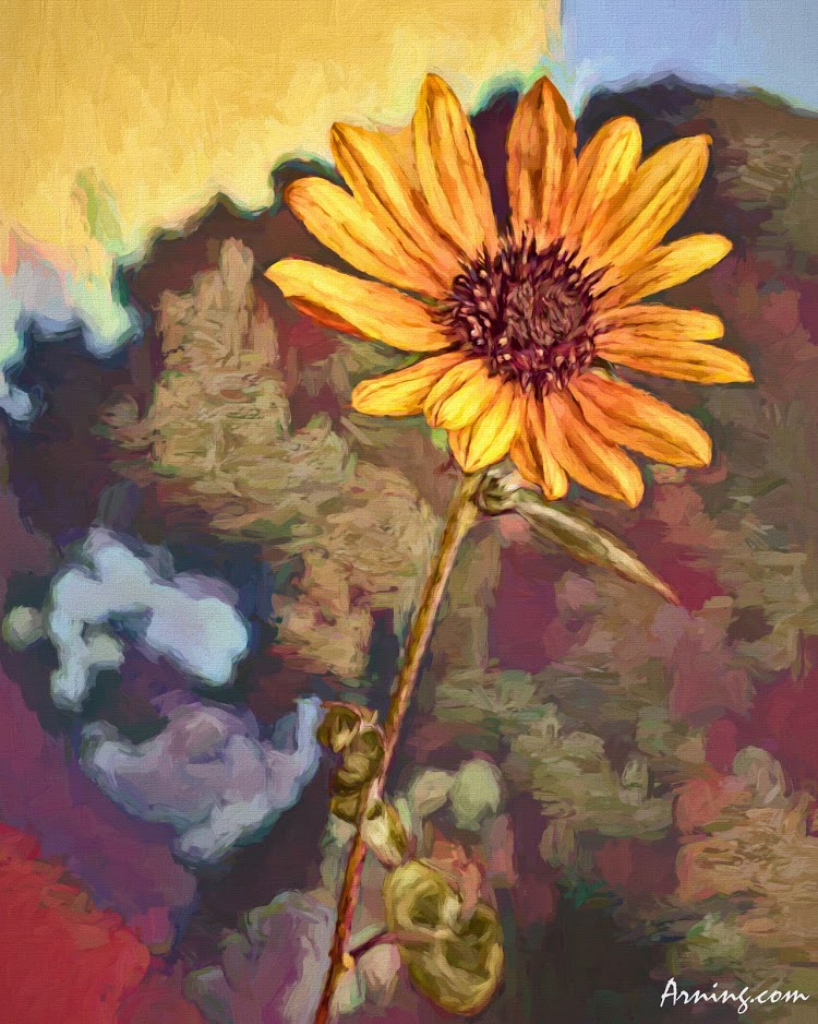 Yellow Rays