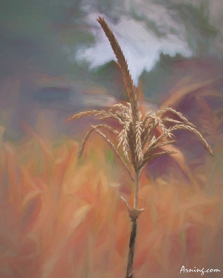 Fall's Finger
