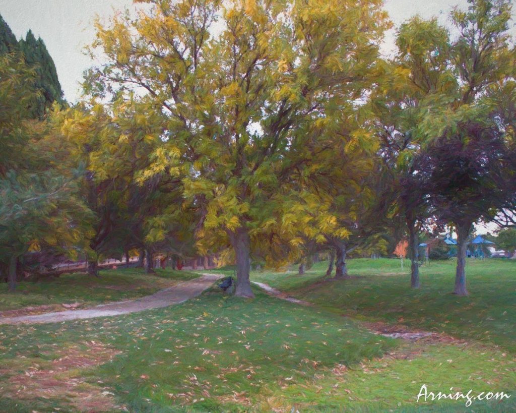 Jerry Cline Park