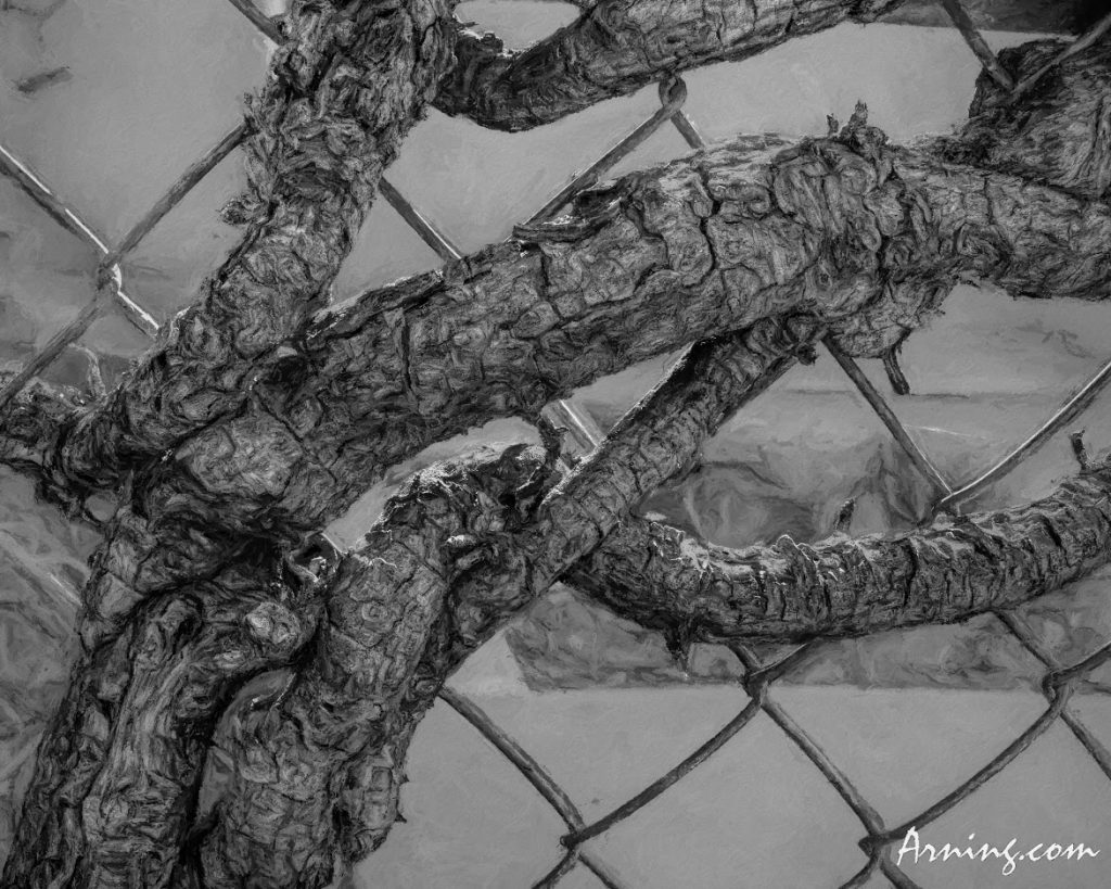 reticulate