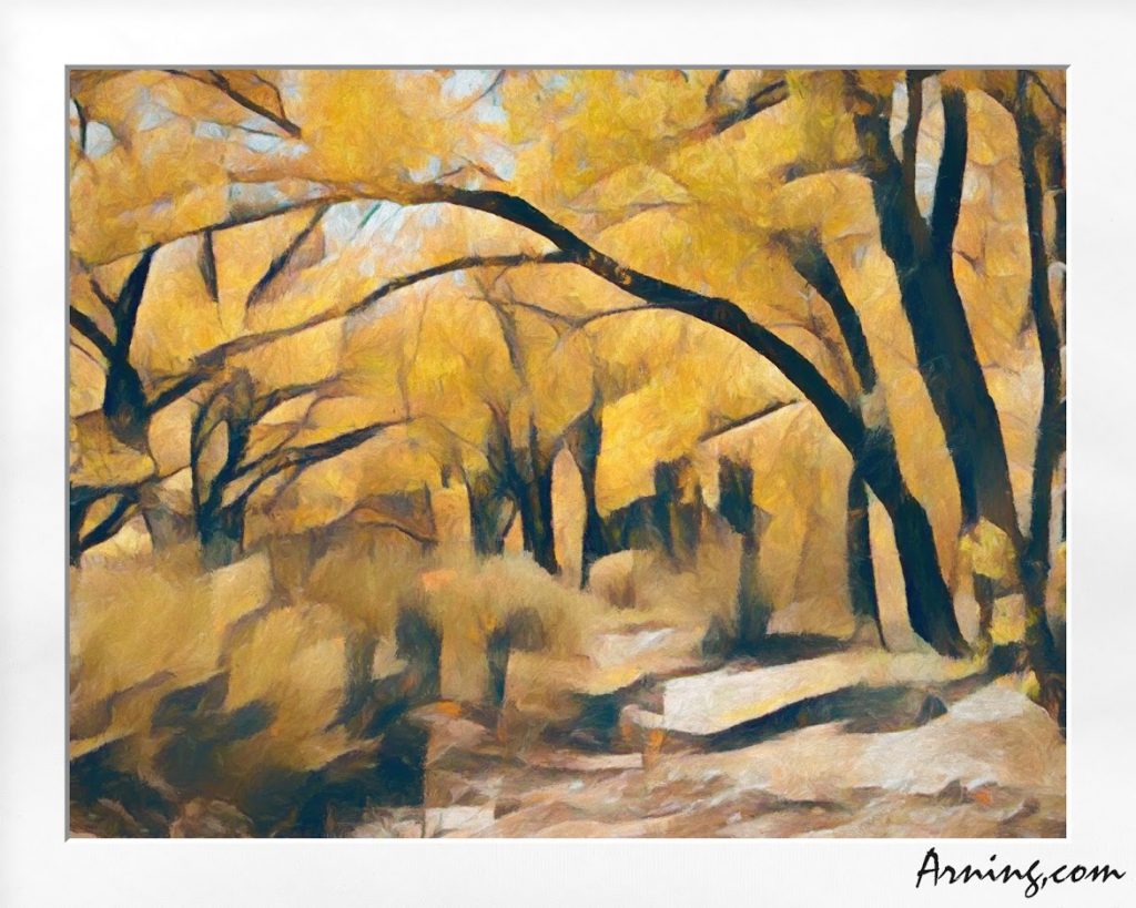 Jemez Canyon