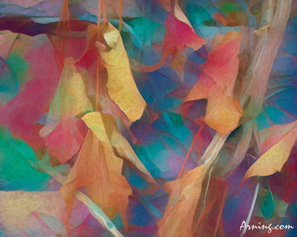 Colors of Autumn