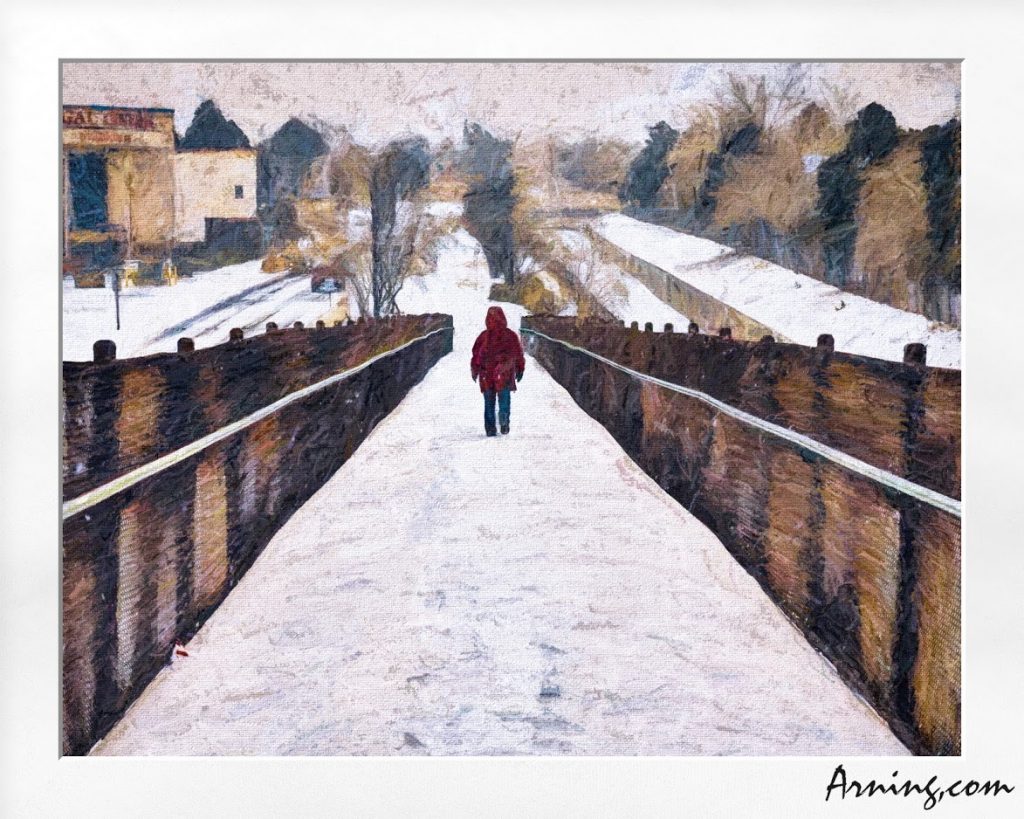 snowy stroll