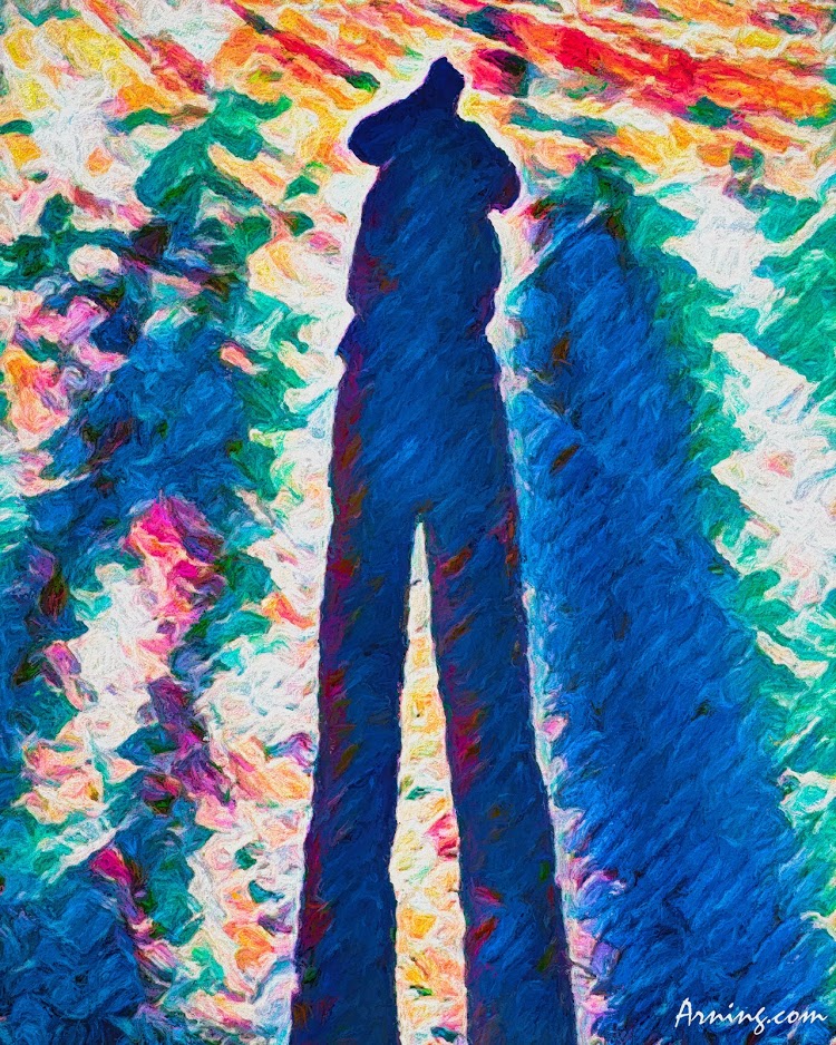 never tall enough