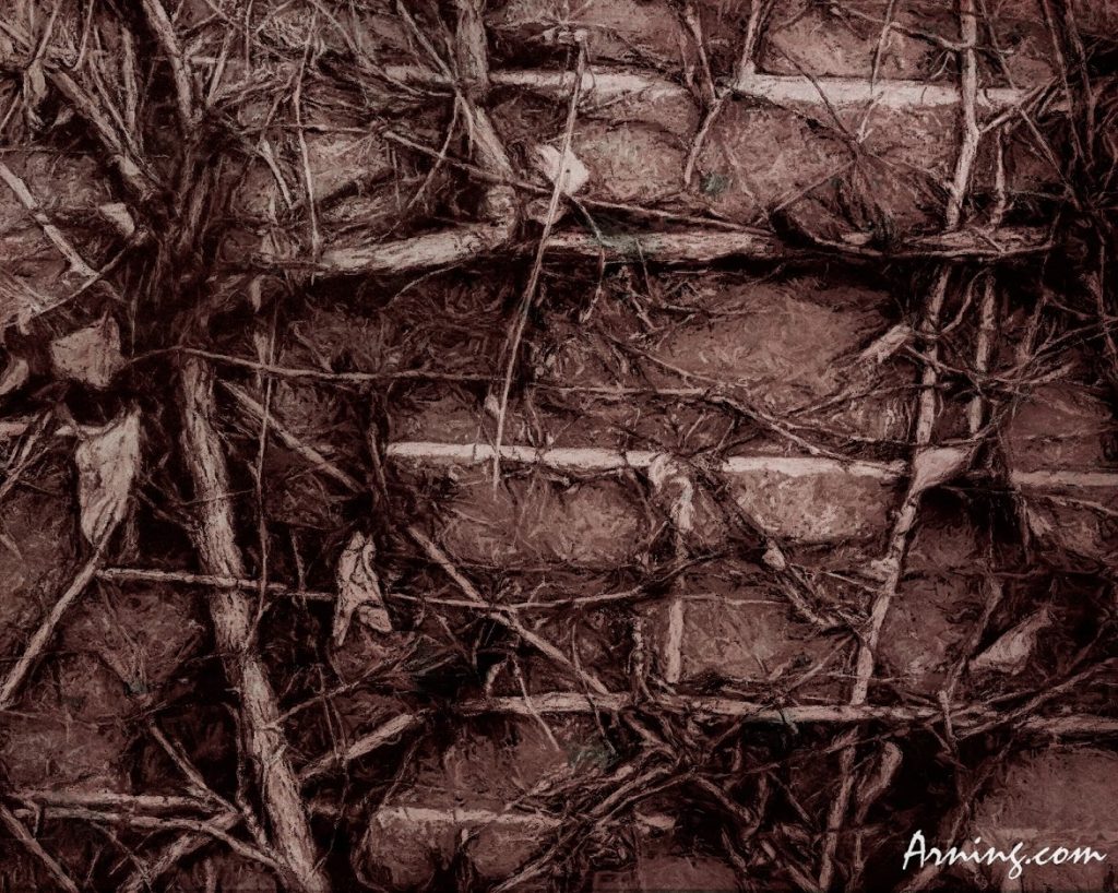 Vines