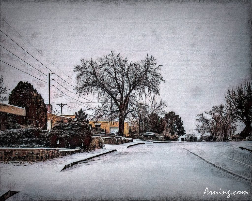 Snow Day