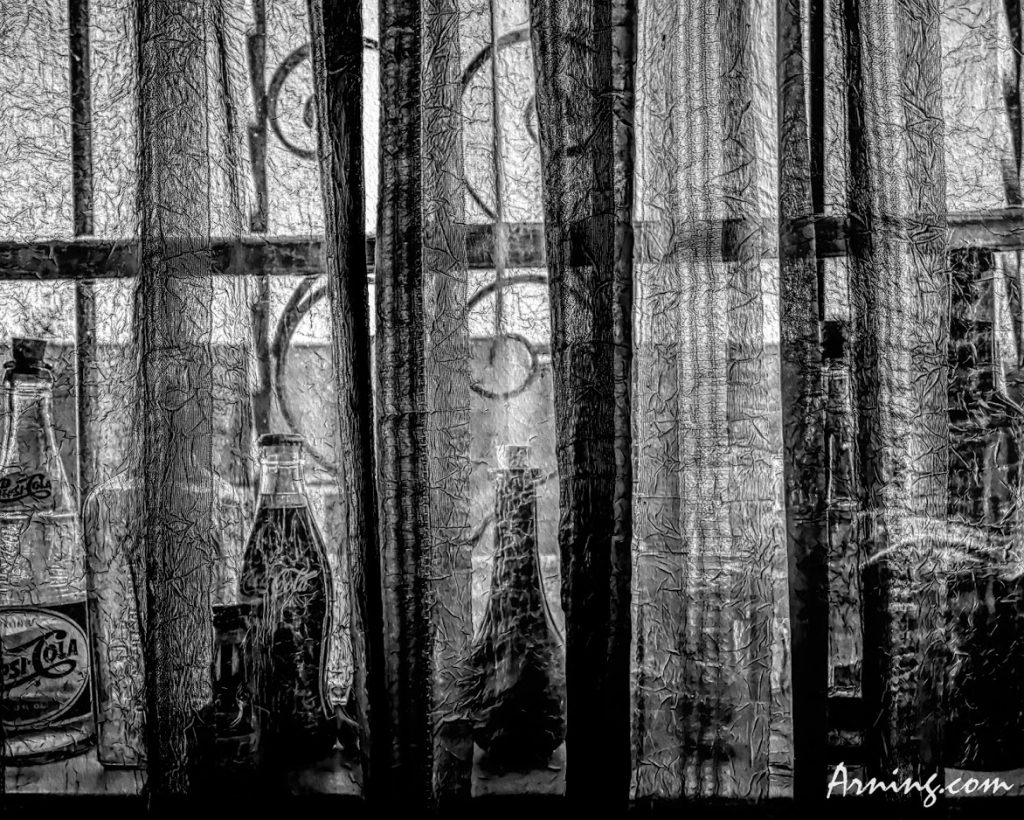 garage window