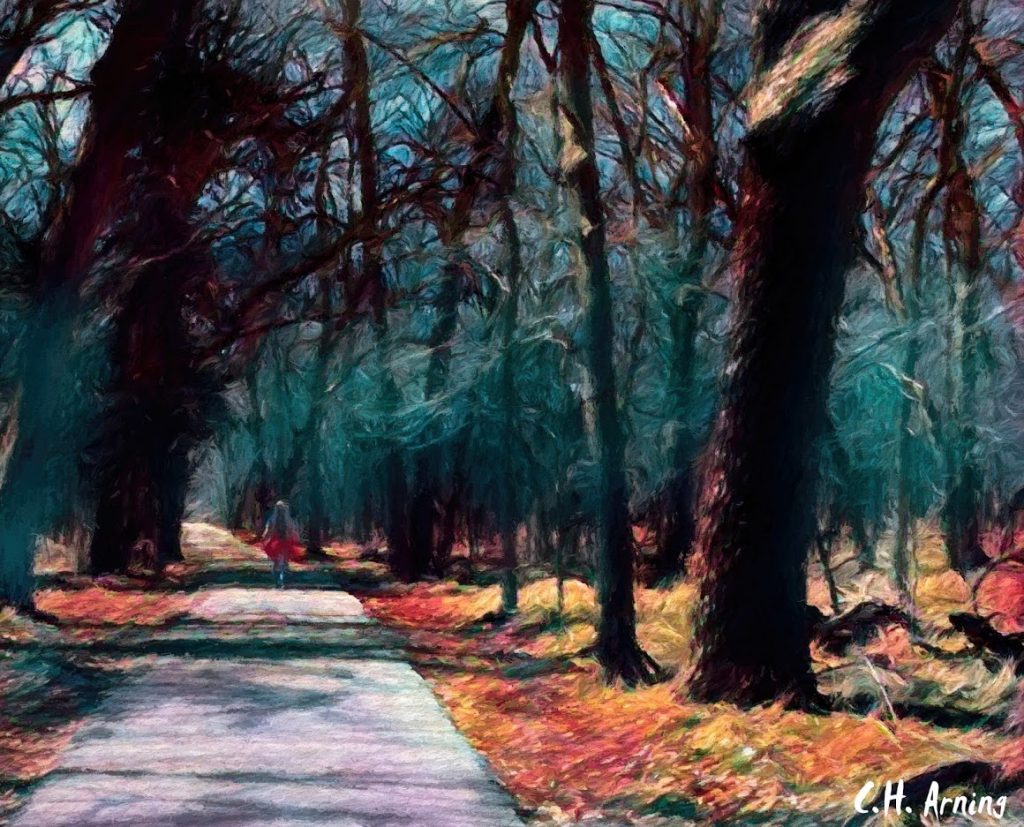 Into the woods