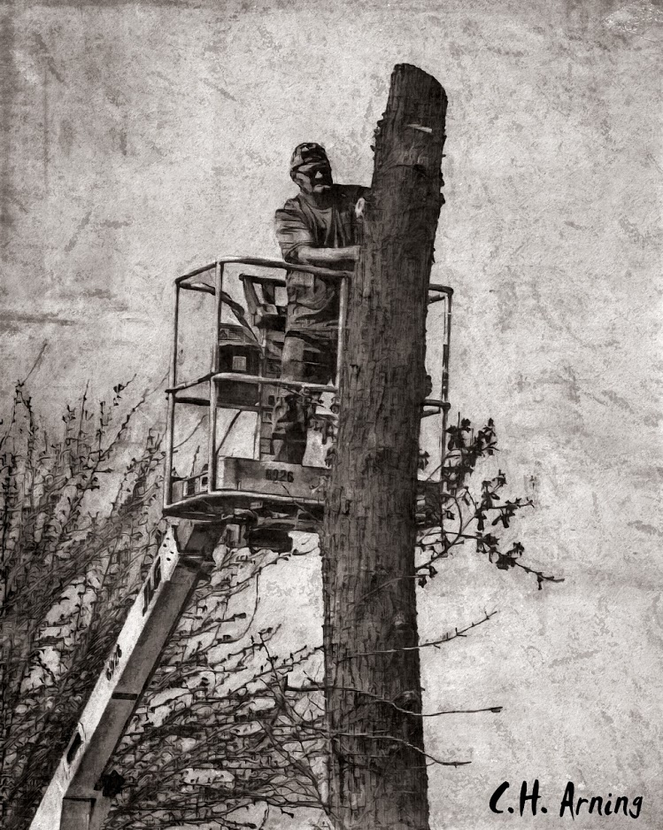tree trimmer