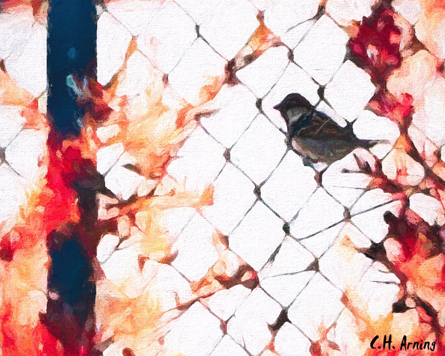 fence perch