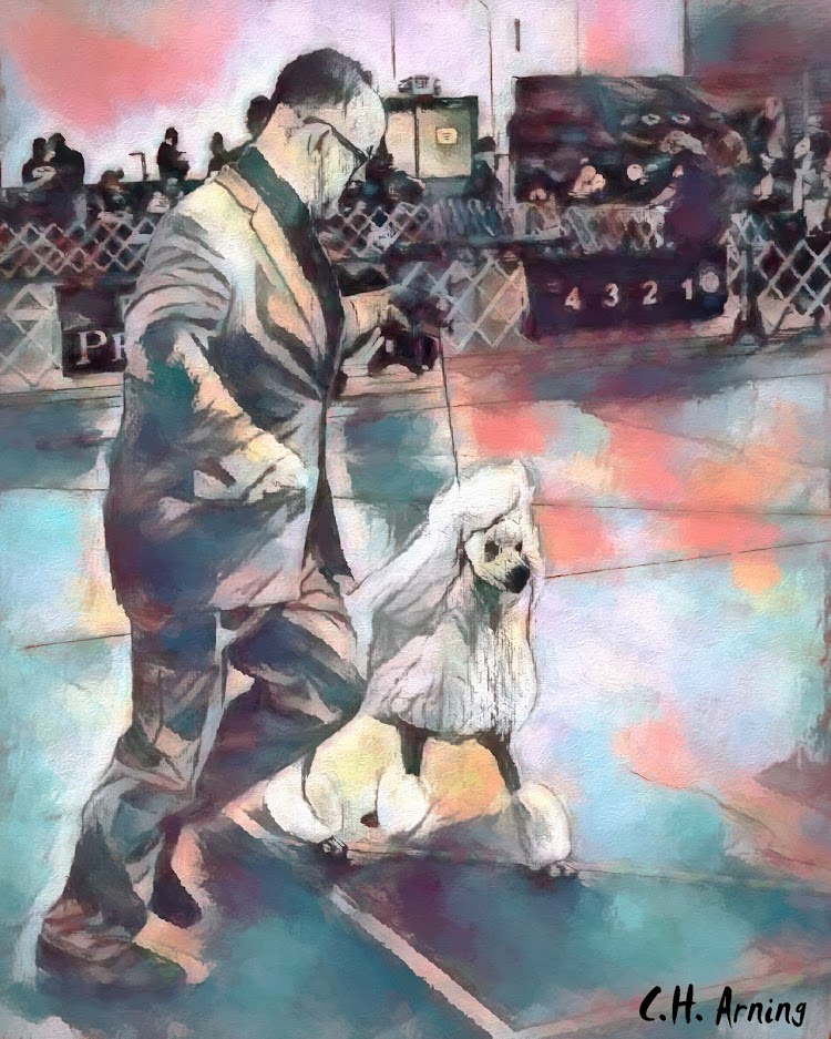 Dog Show