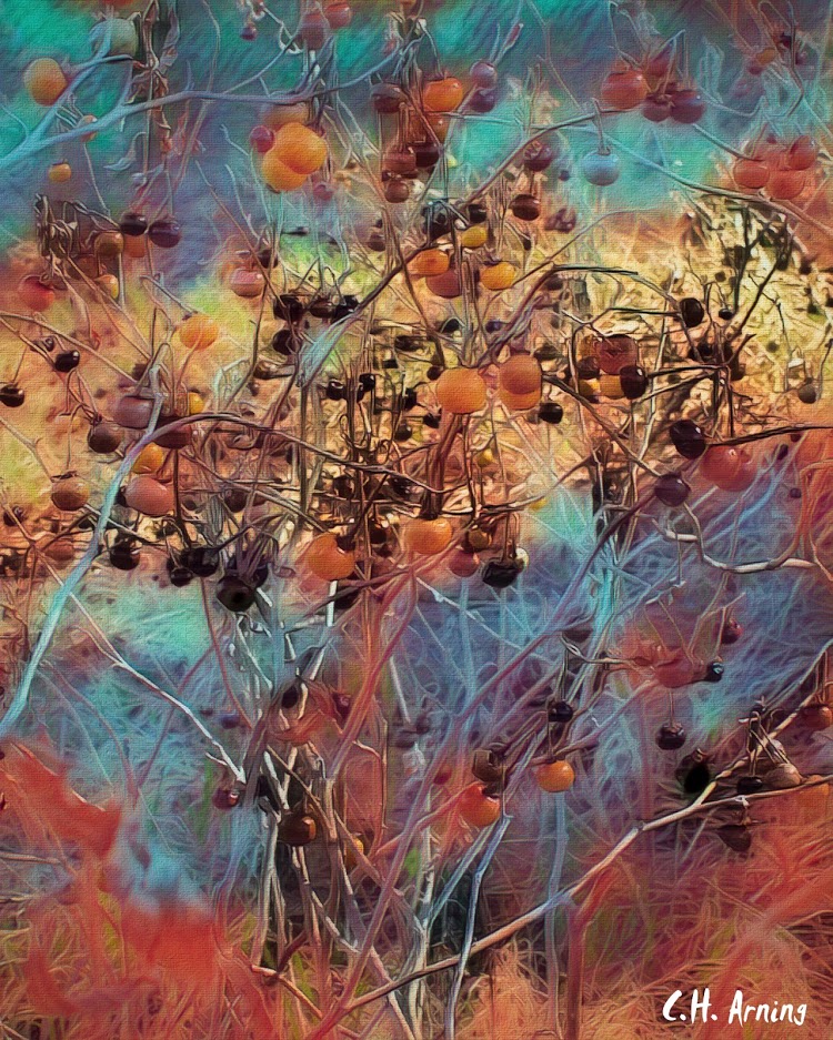 weeds