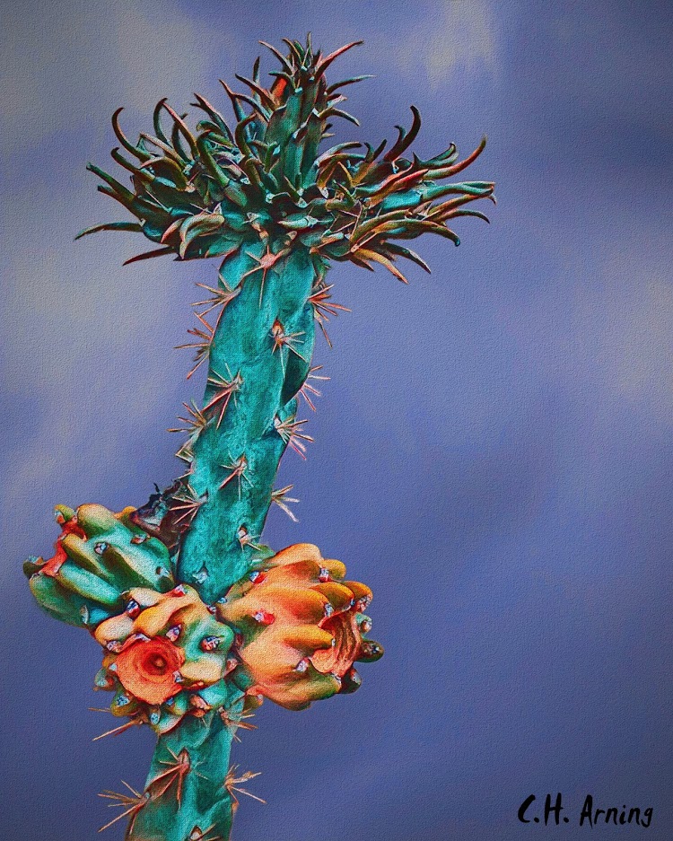 New Growth