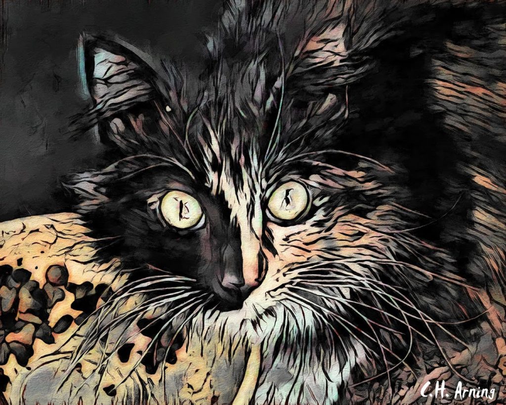 Cheshire Cat