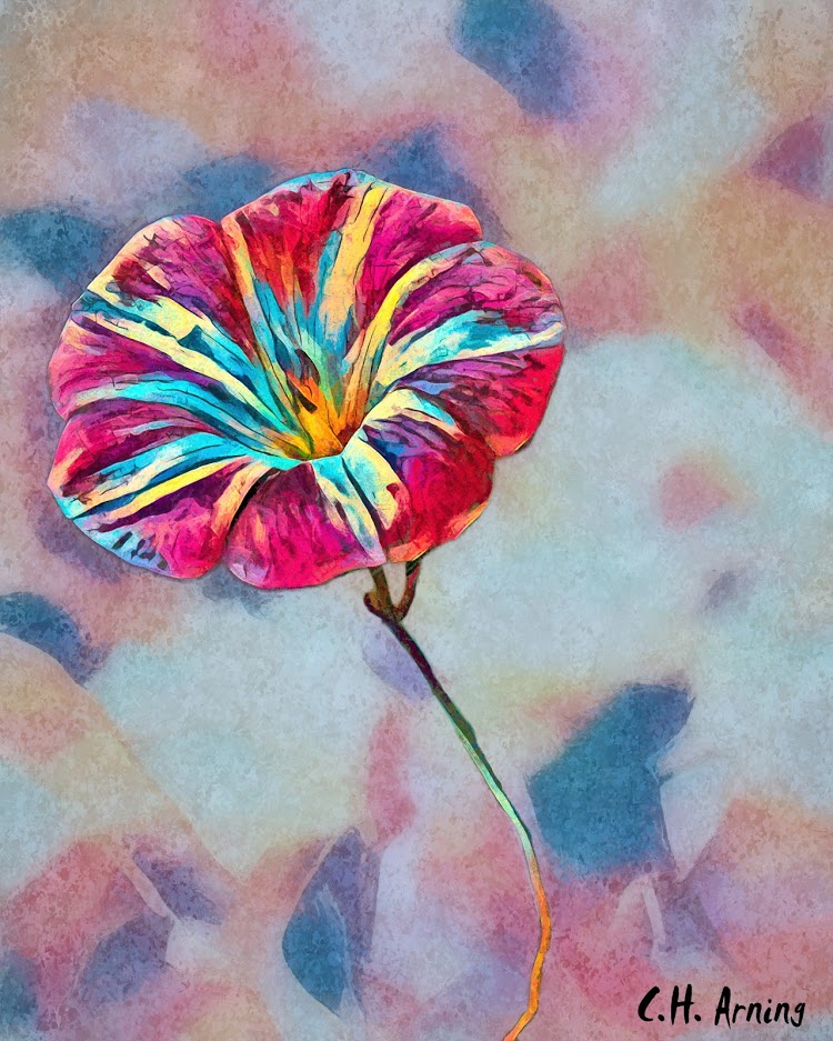 blossom in pastel