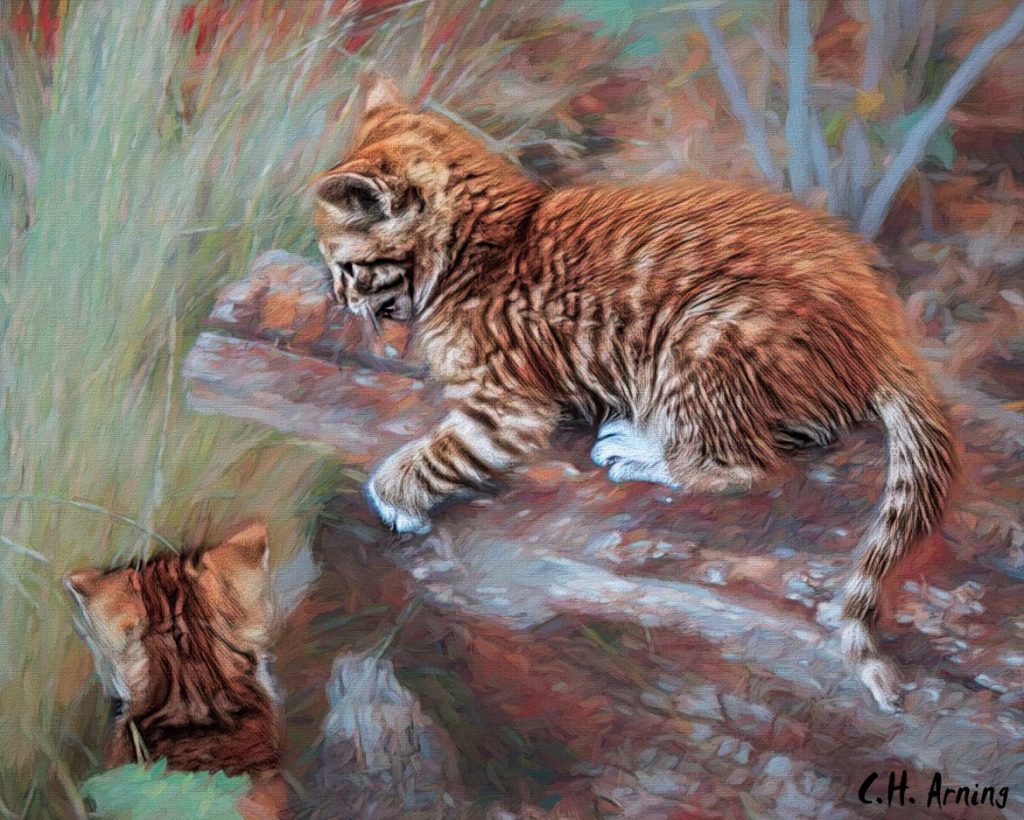 Ambush