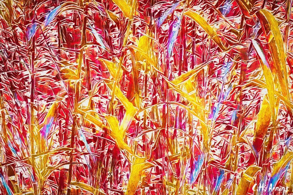 inverse bamboo with color