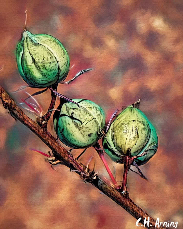 Pods to be