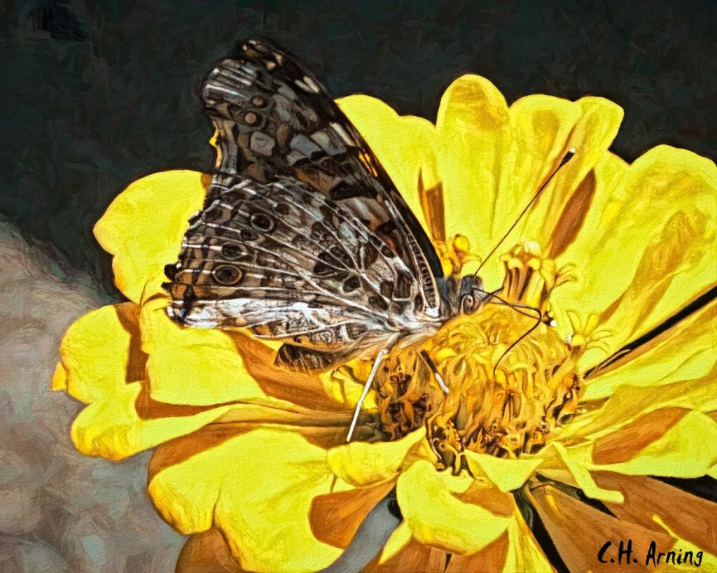 Nectar Trough