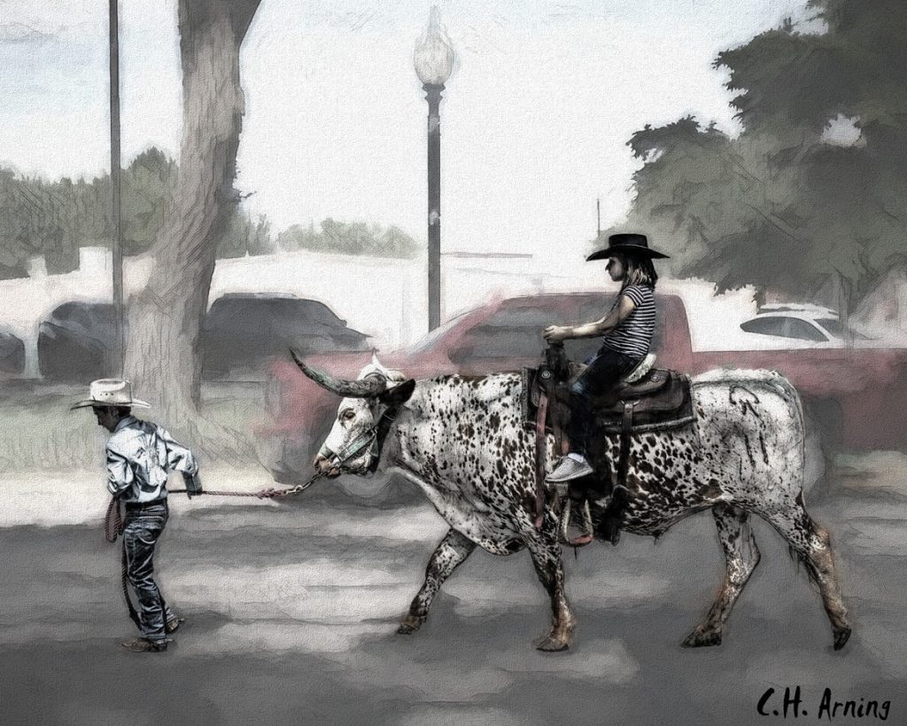 Longhorn Rider
