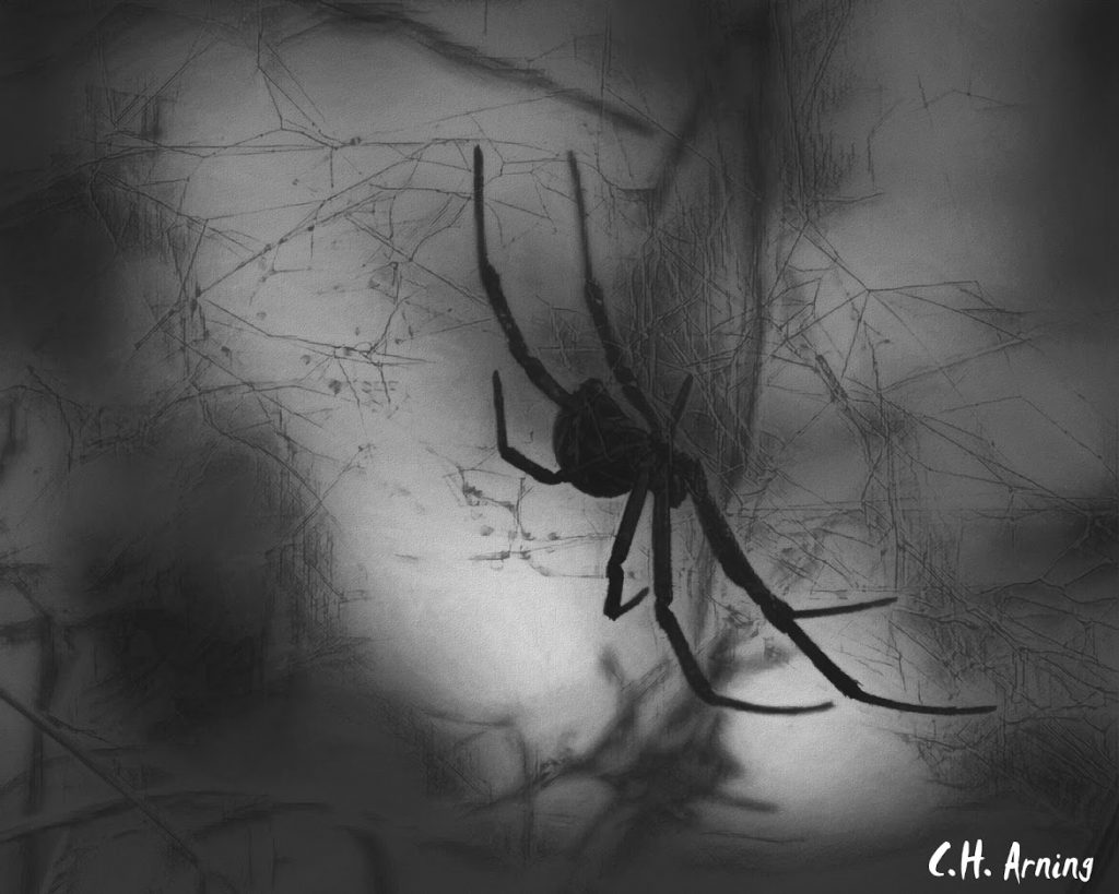 arthropod