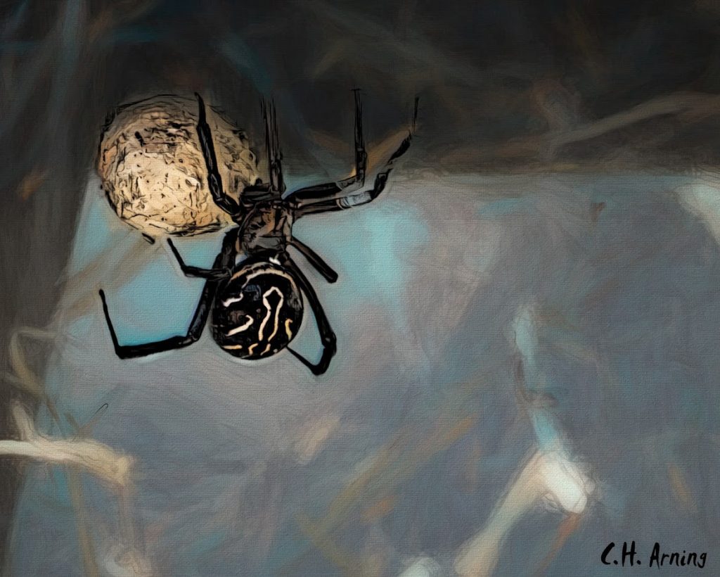 Shelob