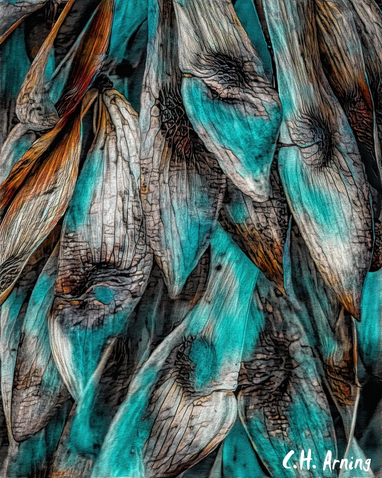Pods