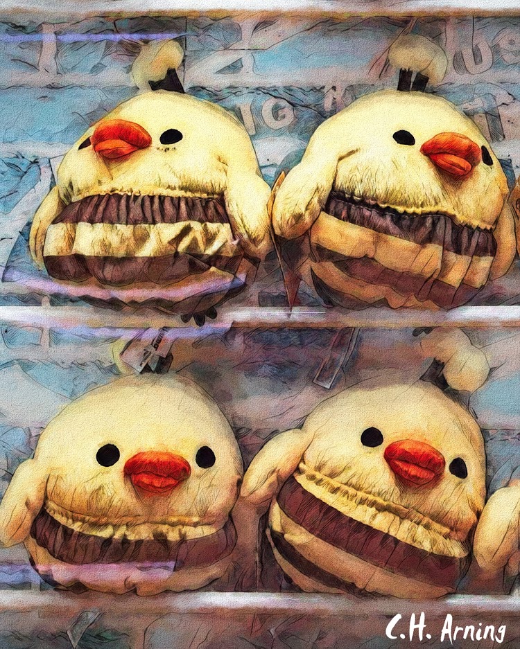 Birds Dressed Like Bees