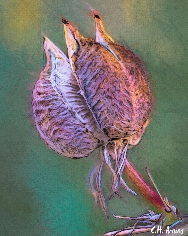 Opening Up