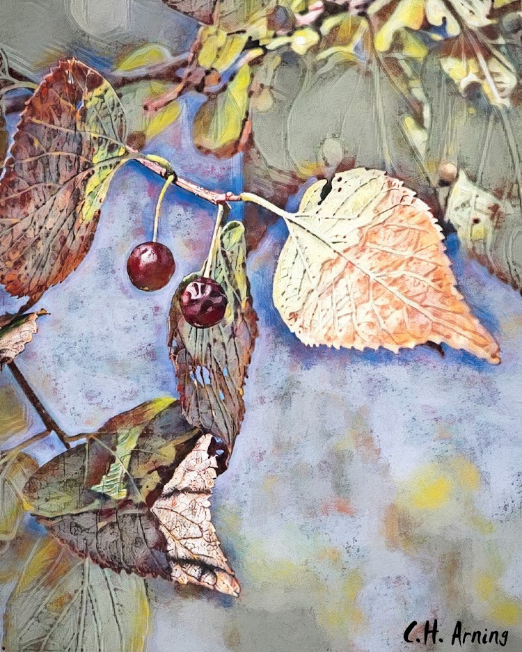 beginning of fall