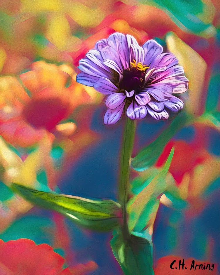 Fall Flower