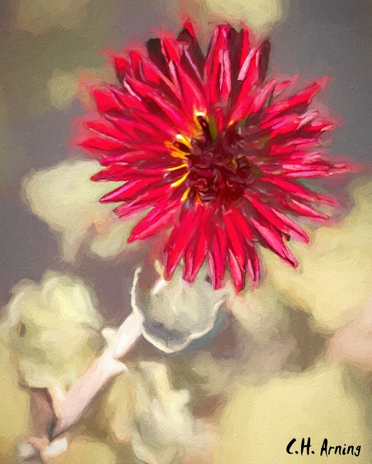 Last Flower