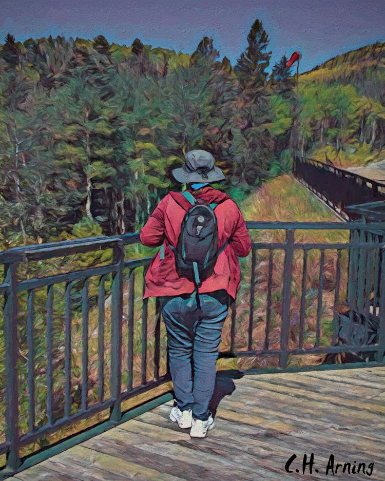 Looking for fall colors