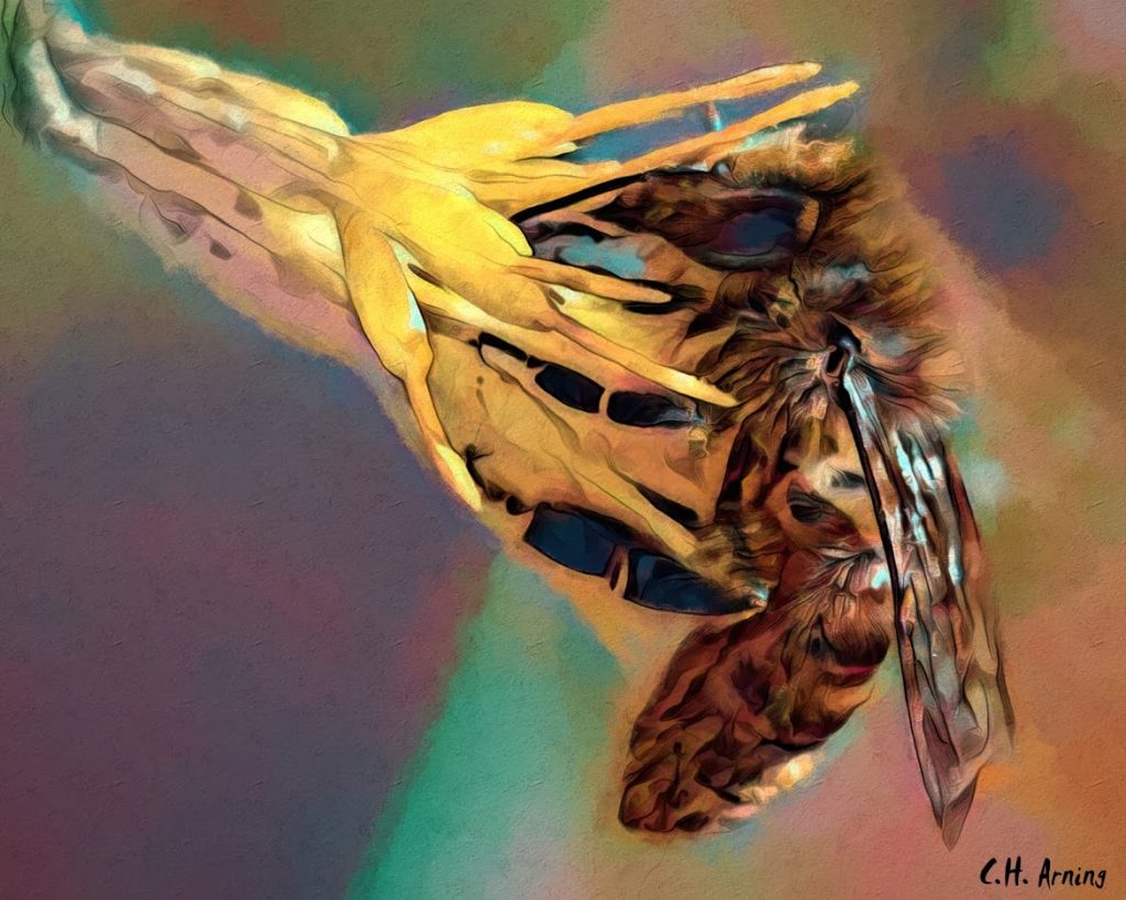 honey-gathering