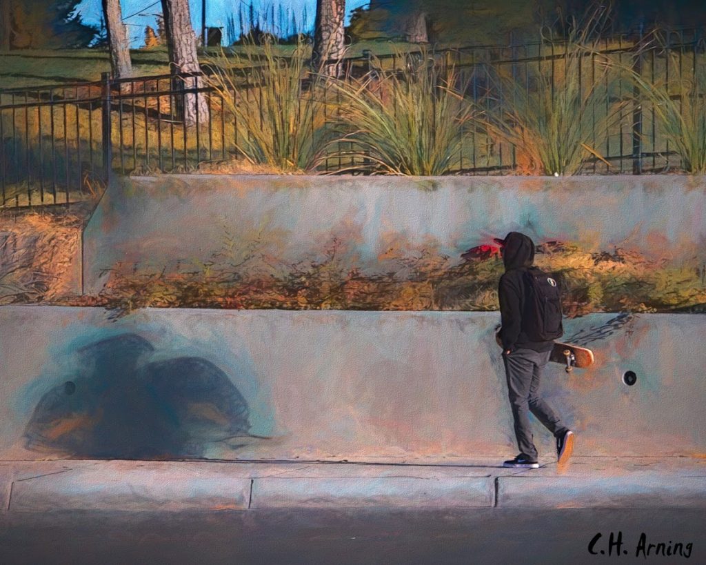 UNM Skater